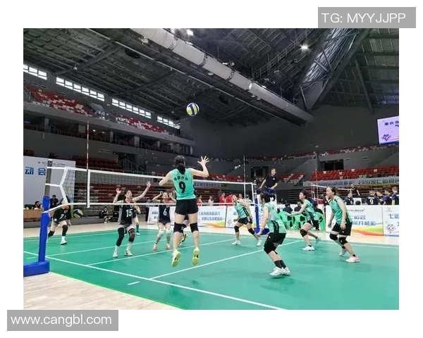 重庆排球队的崛起与发展探秘展现排球运动的无限魅力与力量